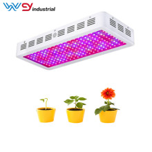 High quality 2000W growing lamp for indoor plants