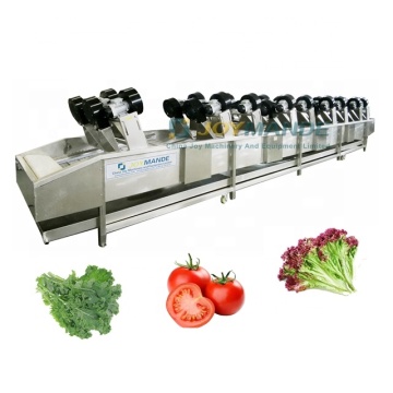 Commercial Salad Vegetable Drying Machine: Air Blowing Dewatering Solution