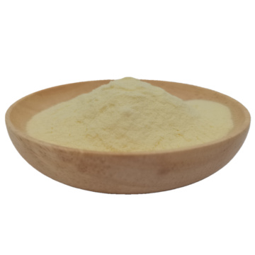 Healthy food additive organic ginger extract powder