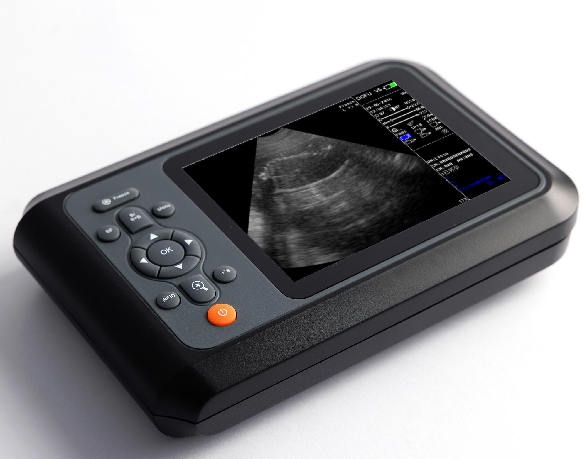 veterinary cardiac ultrasound