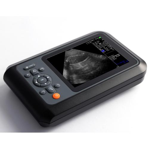 SONO V5 wired swine ultrasound