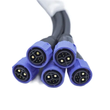 M25 2+4 Electric Vehicle Lithium Battery Energy Storage System