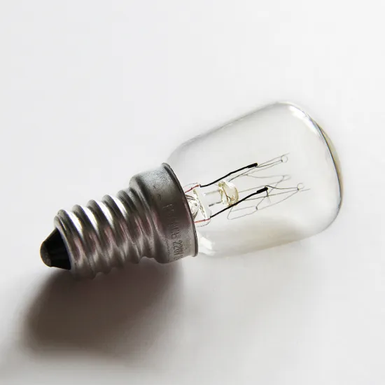 ST26 Customized Top Quality E14 15W Glass Shell Refrigerator Incandescent Light Bulb