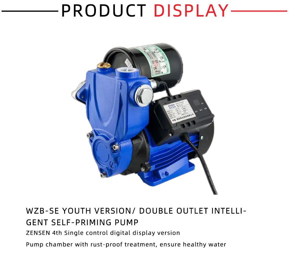 WZB-SE Youth version Double outlet intelligent self-priming pump X