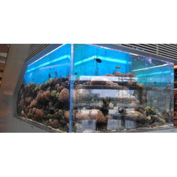 Restoran için büyük akrilik akvaryum balık tankı