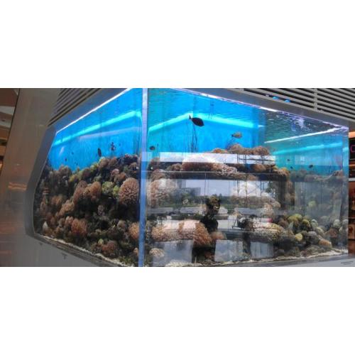 Tank di pesce acrilico ornamentale personalizzato