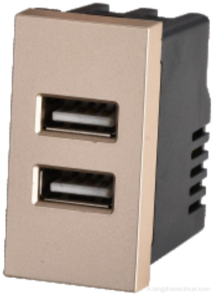 Prise USB à 2 ports 2.1a 5V (110-240V ~)