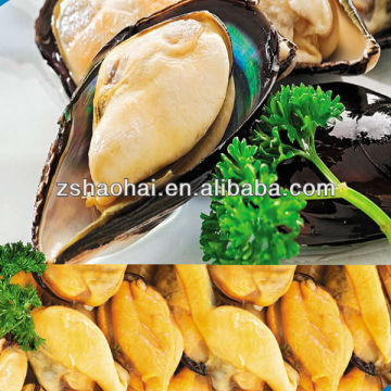 Frozen Cooked Mussel Meat 200/300
