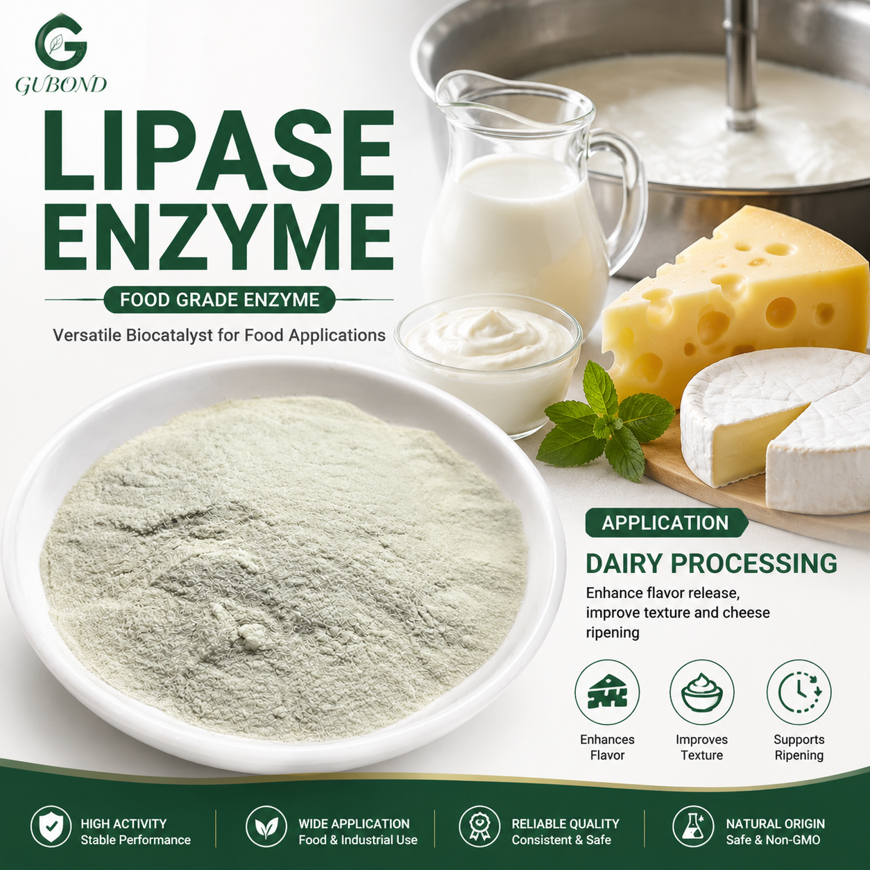 Lipase Enzyme (6)