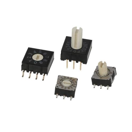 10 Positie Real Code Rotary Switches