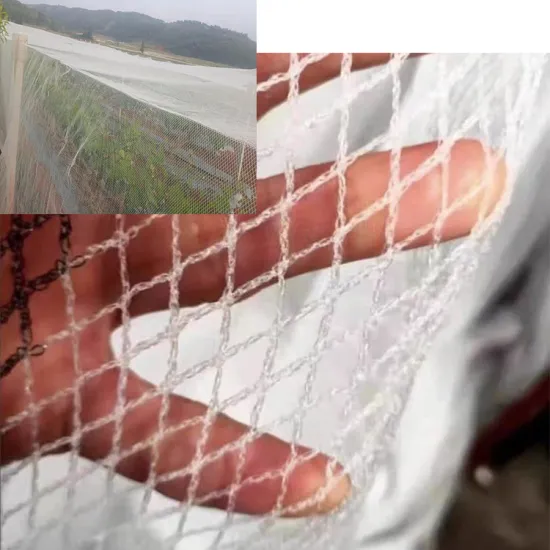 HDPE Material Fruit Tree Protection Mesh Bag Anti-Insect Net Greenhouse Roll