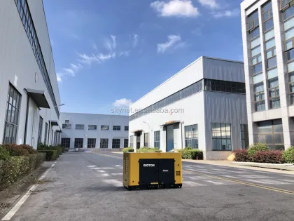 Doton 24KW Big Power Diesel Generator Set With Global Warranty