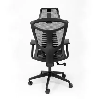 Ergonomic home office chair
