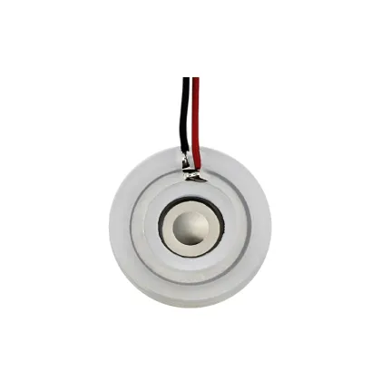 Fragrance Humidifier Atomizer Plate