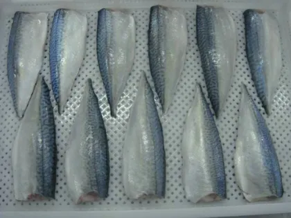 Pacific Mackerel Frozen Mackerel Fish Fillet Seafood