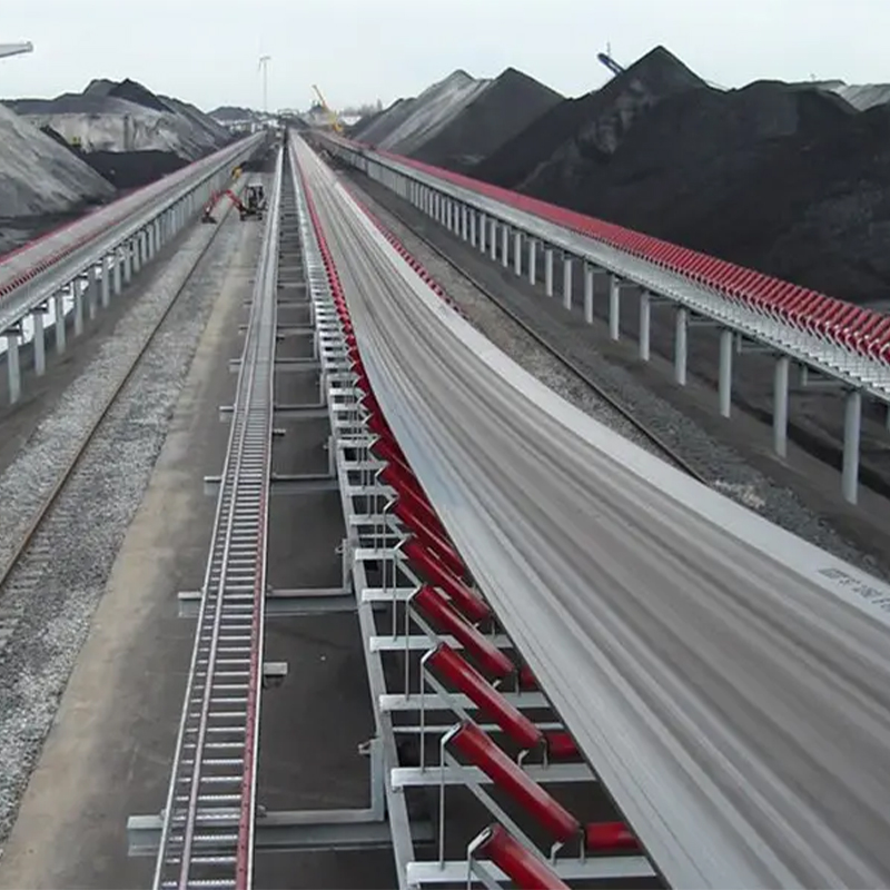 Coal Port Yard Roller Belt Conveyor