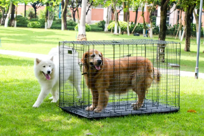 Foldable Iron Pet Carrier Cage for Dogs and Cats