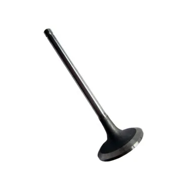 Title: "ISF3.8 6CT NTA855 ISX Engine Intake Valve Replacement Parts