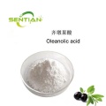 Supply Olive Leaf Extract 98% Oleanolic Acid