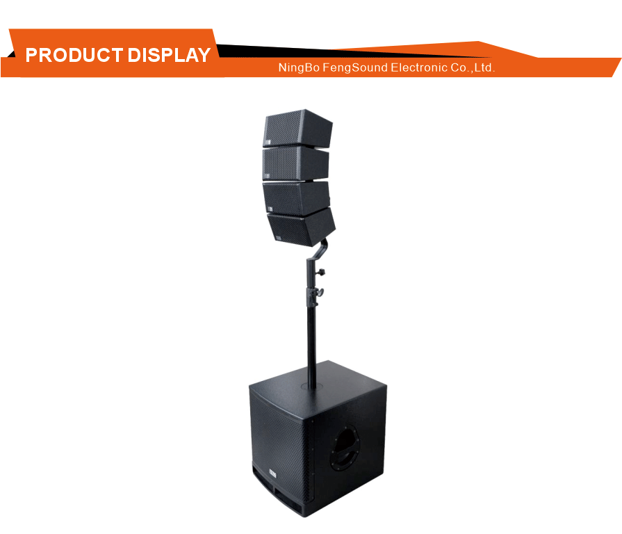 Multi Input Line Array Speaker System