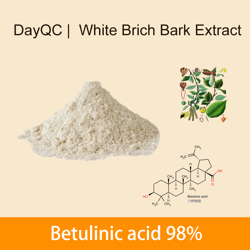 White Brich Bark Extract Betulinic Acid Powder Bulk