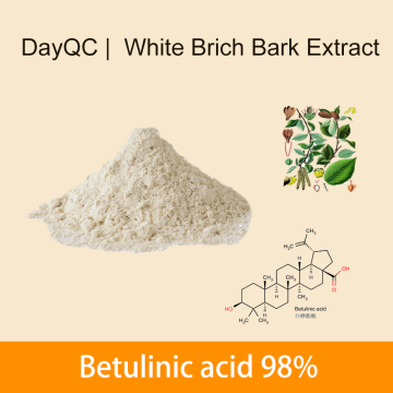 Vit Brich Brich Brich Extract Betulinsyrarpulverbulk