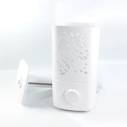 Mini Ultrasonic Air Humidifier with 2.5L Water Tank