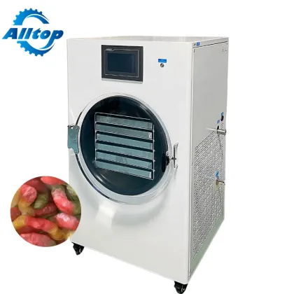 Small Home Candy Freeze Dryer Machine for Food - 12kg Capacity, 8 Shelf Mini Dryer from Henan