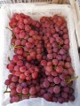 Abastecimento de preços de uvas de Yunnan