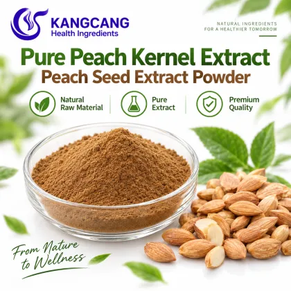 Pure Peach Kernel Extract Peach Seed Extract Powder