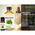 100 ٪ روغن اسانس خالص Marjoram در فروش داغ