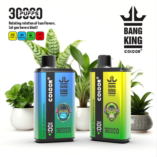 Bang 30000 Dual Flavor Vaping Excellence Europe warehouse