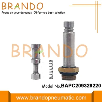 LPG Injector Rail Plunger Assembly Repair Kit