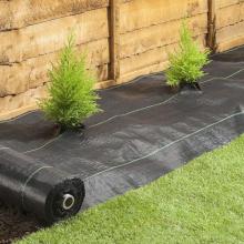 ground cover plants fabric weed barrier