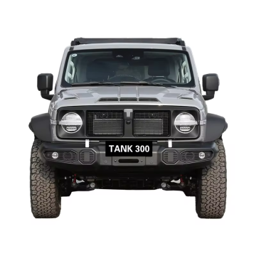 2024 China Tank 300 2.0T 5 Seater Petrol SUV