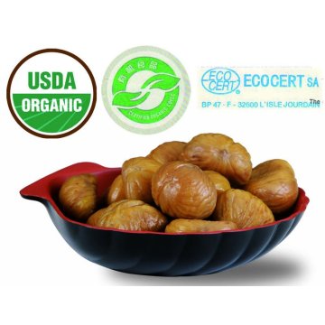 Organic roasted chestnuts kernels