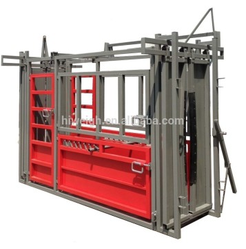 cattle scale cattle crush bascula ganadera model ACC