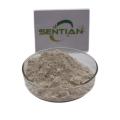 Bacillus coagulans Additive probiotics Bacillus Coagulans