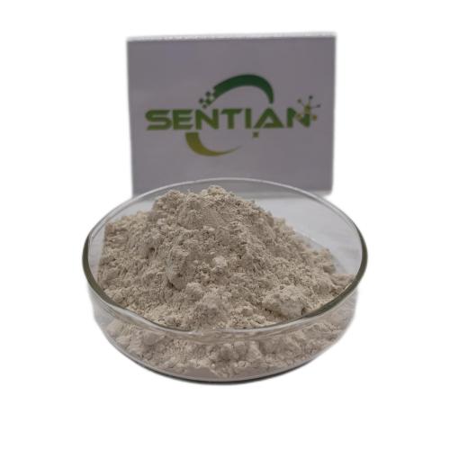 Bacillus coagulans Additive probiotics Bacillus Coagulans