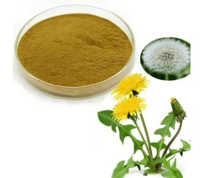 Wild Plant Extract Dandelion Extract