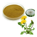 Wild Plant Extract Dandelion Extract