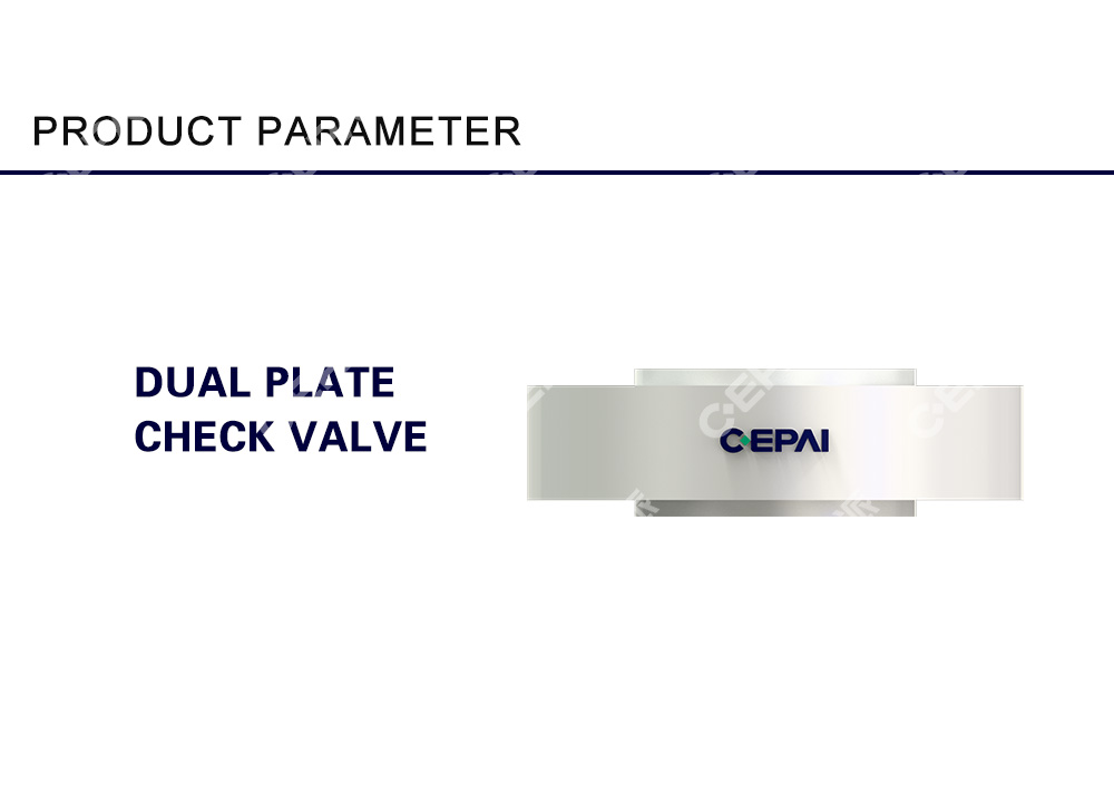 Dual Plate Check Valve0-1