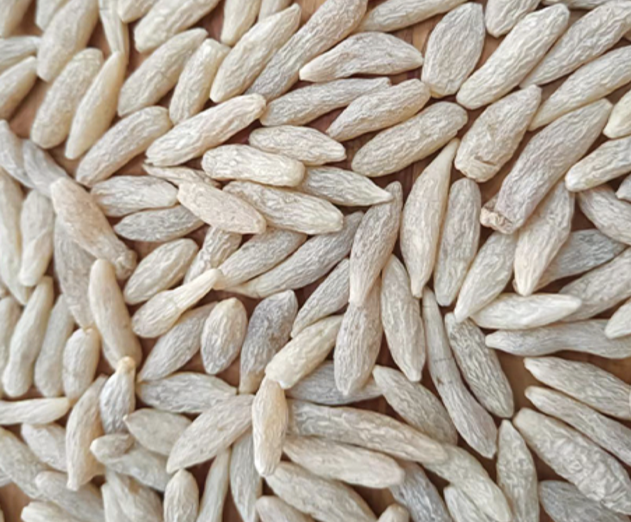 Ophiopogon Extract Manufacturer
