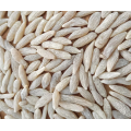 مورد مسحوق مستخلص Ophiopogon Japonicus الطبيعي