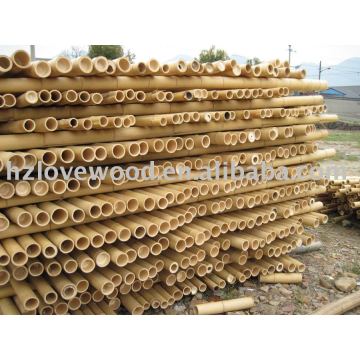 Bamboo Raw Materials