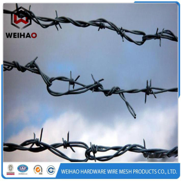 sharp military used barbed wire