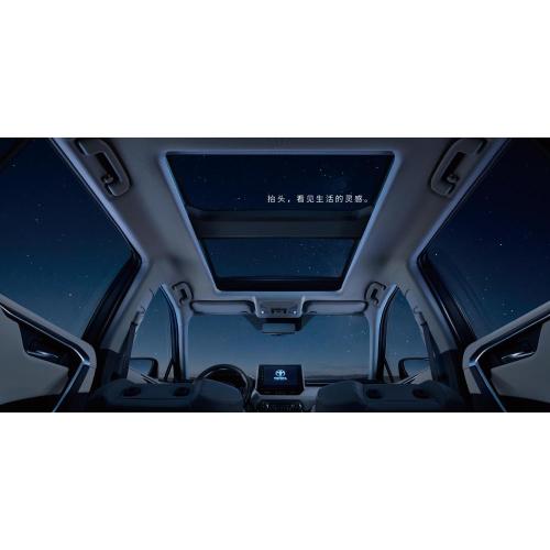 Carora RAV4 2.0 L gasoline urban