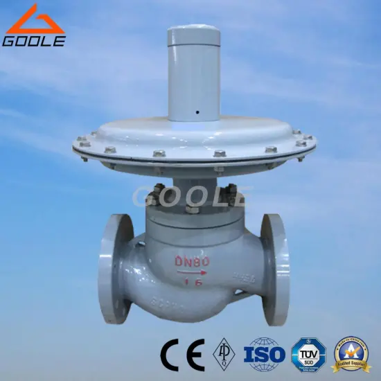 Zzvp Self Operated Micro Pressure Regulating Valve