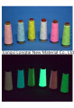 Colorido padrão RoHS da UE Filé Luminoso Glow