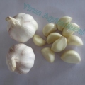 Bawang Putih Putih Putih Murni Putih normal dari 2018 Crops